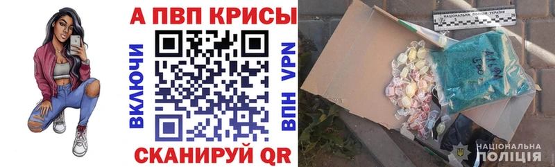 A PVP СК КРИС  Торжок 