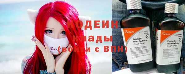крисы Новокубанск