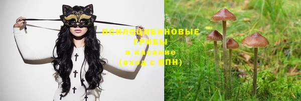 крисы Нефтекумск