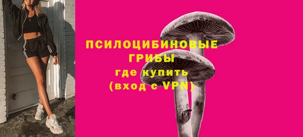 крисы Нефтекумск