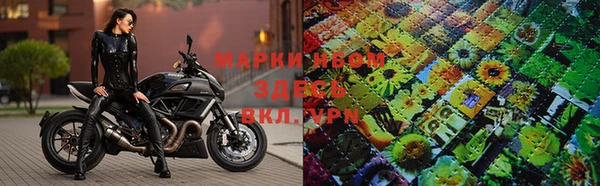крисы Новокубанск