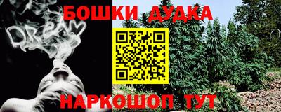 гашик Канаш