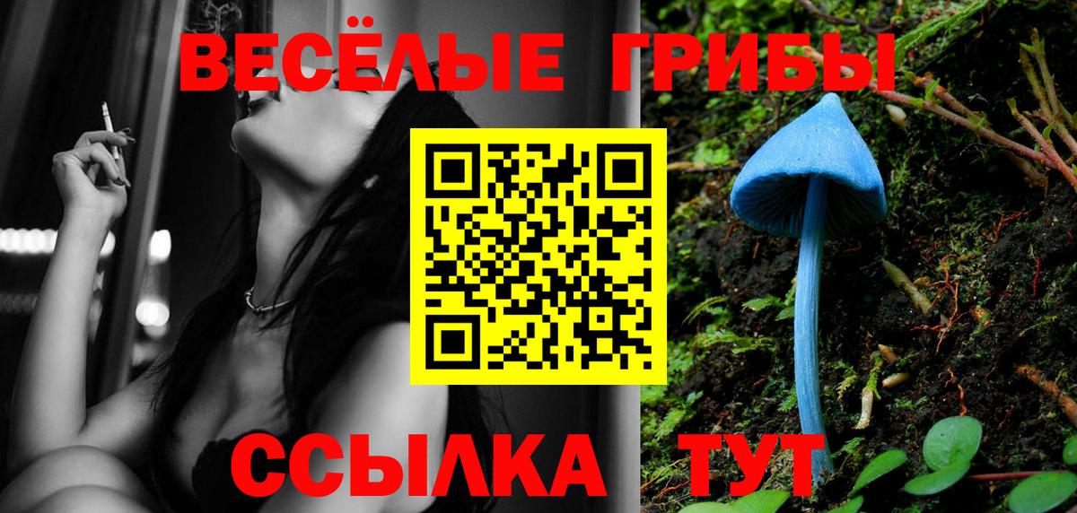 Торжок  Галлюциногенные грибы Psilocybe  Вход с VPN 