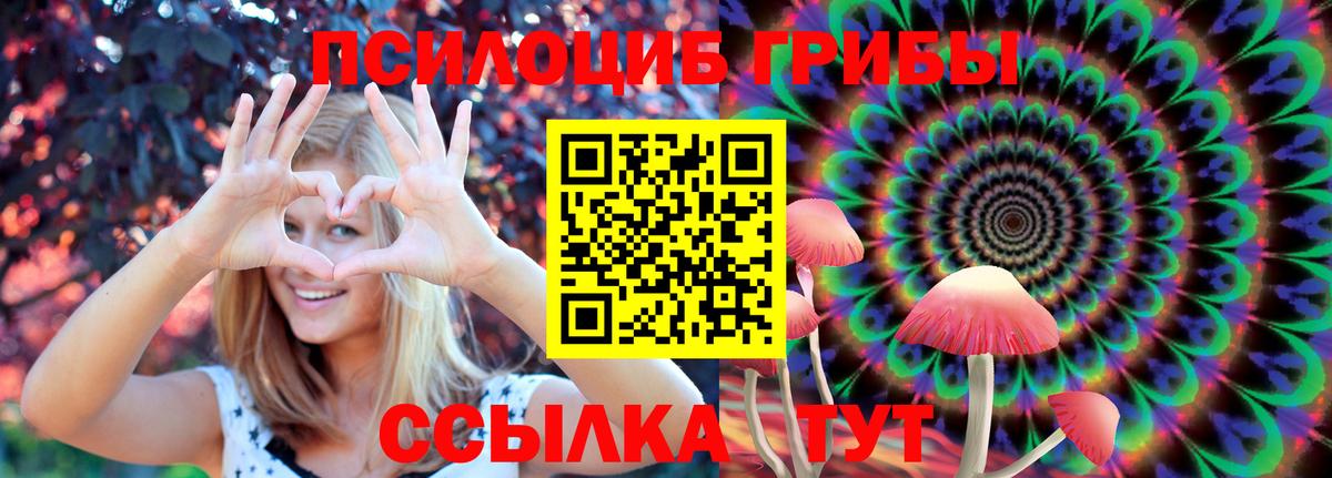 Галлюциногенные грибы ЛСД Торжок