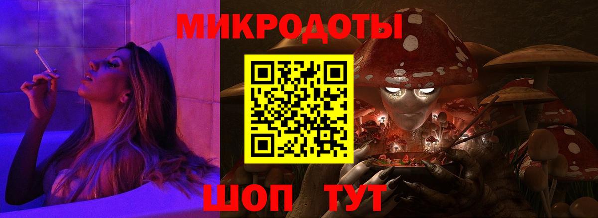 Галлюциногенные грибы Psilocybine cubensis Торжок